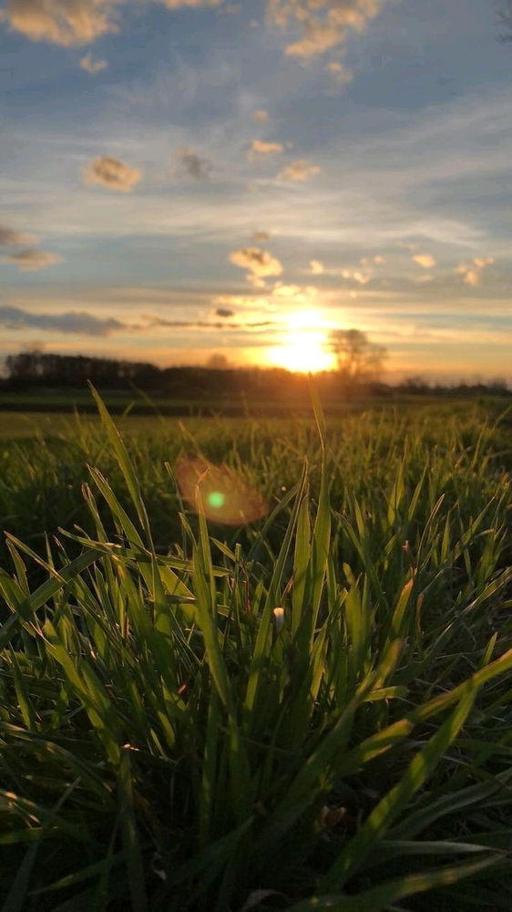 Goedemorgen 🌿☕