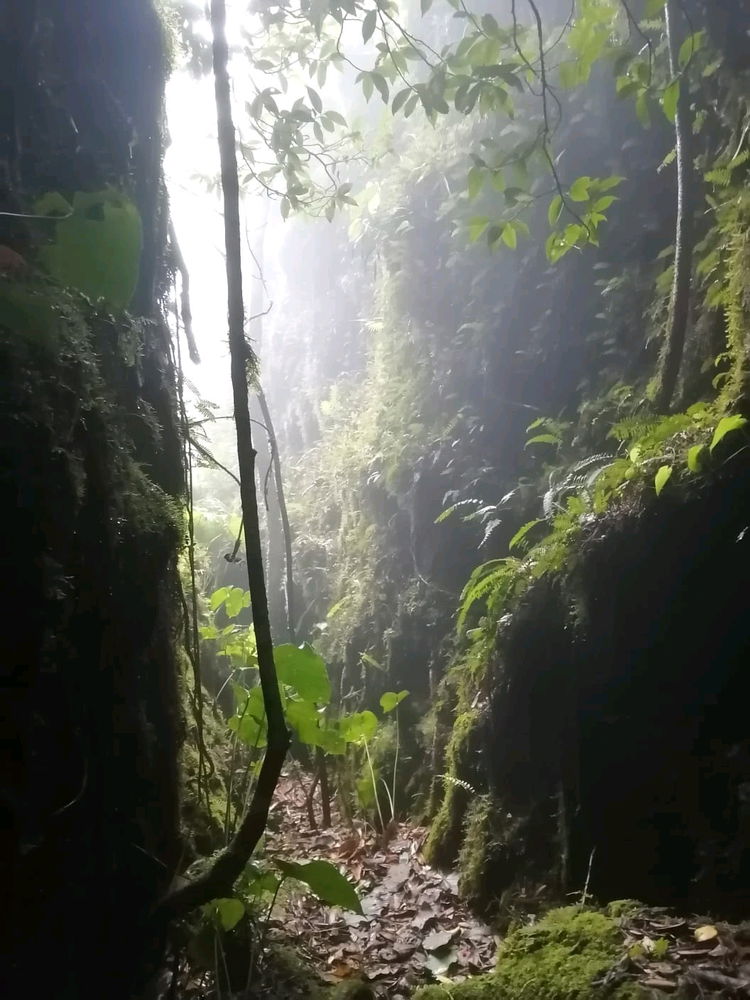 Vamos a descubrir cómo es el cielo