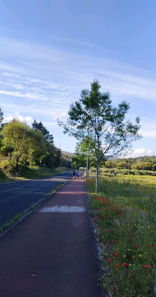 🏃‍♂️9km + calisthenic