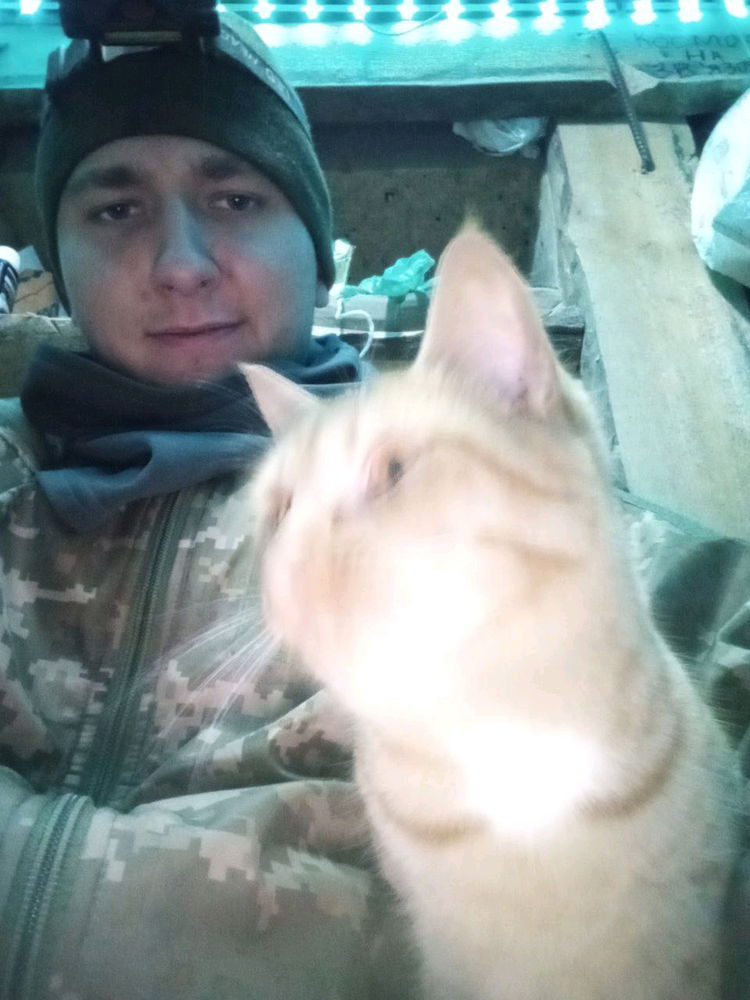 Коти яких я не забуду.