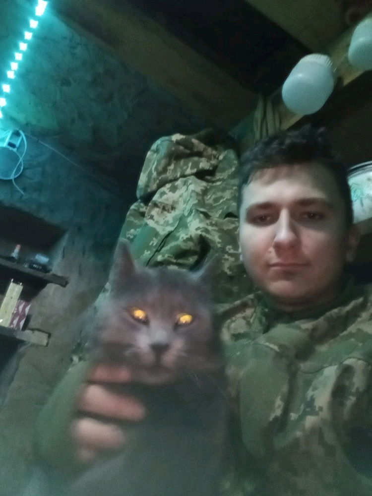 Коти яких я не забуду.