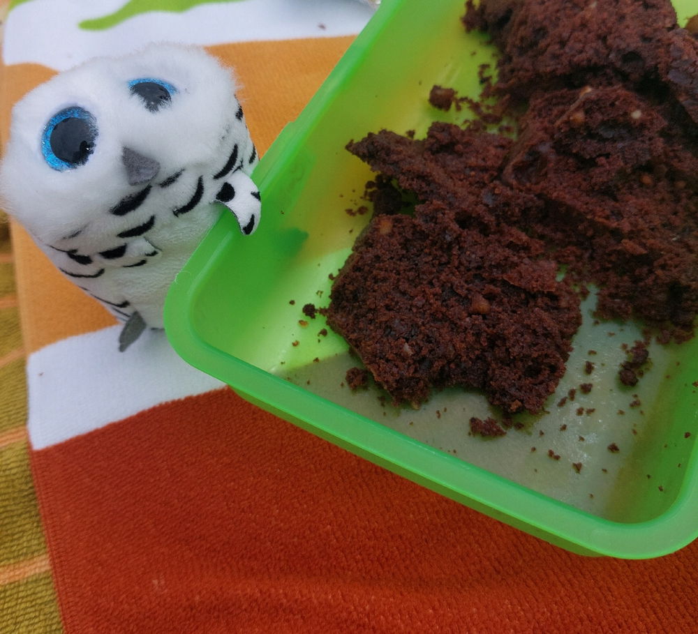 Nobody wanted to come have a picnic so I brought my friend