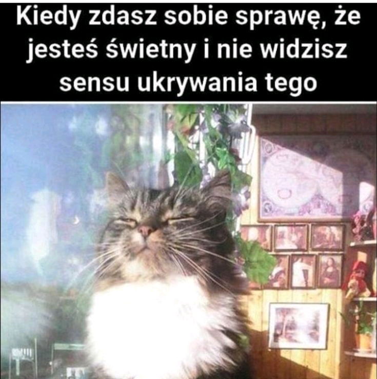 Słodziak 😊