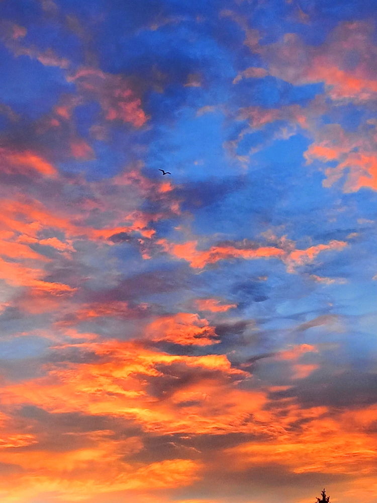 🔥🌞🔥