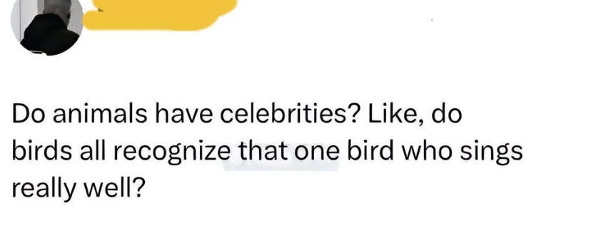 Do they?