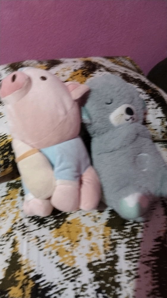 Regalos