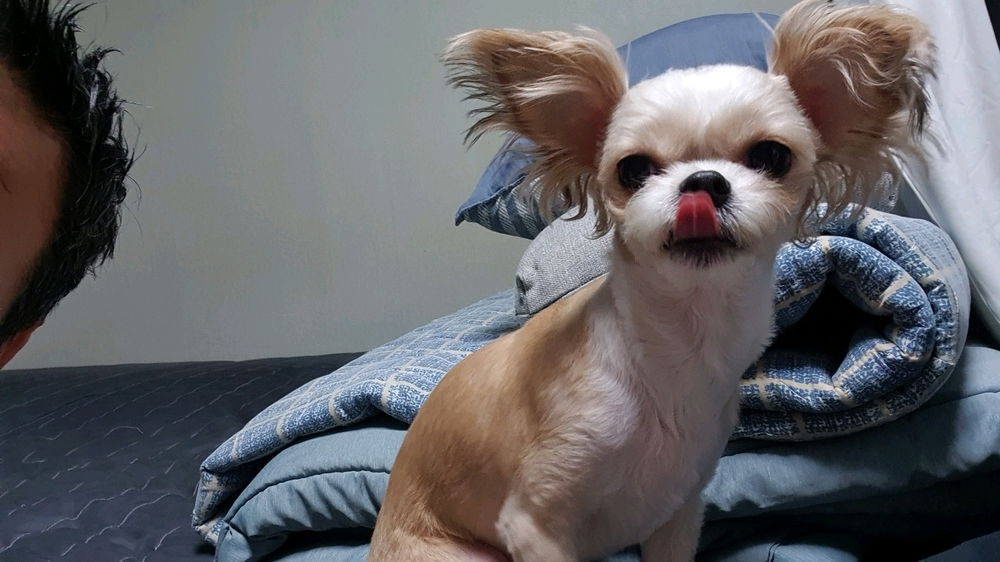 황금 혀...^^----ㅋㅋㅋ