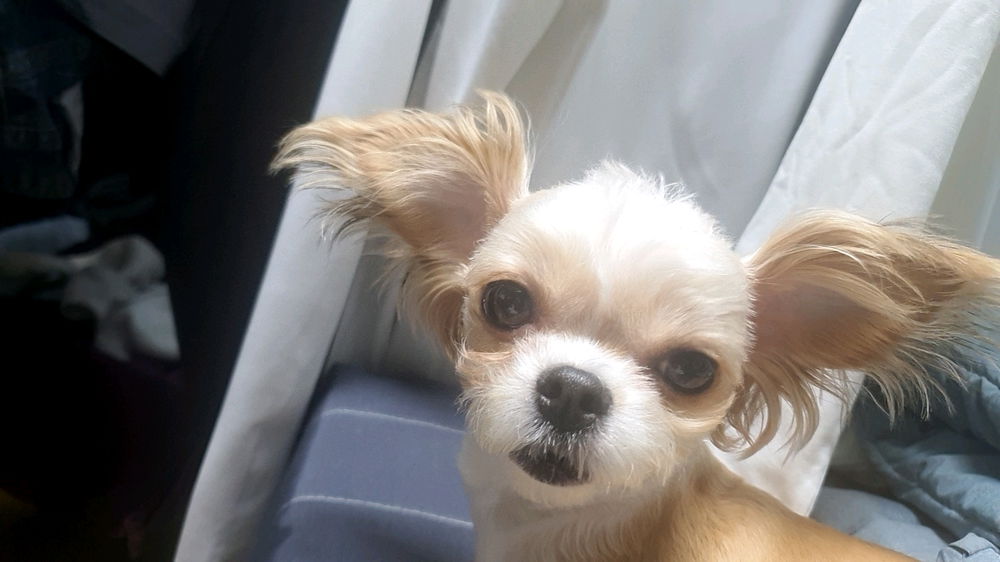 황금 혀...^^----ㅋㅋㅋ