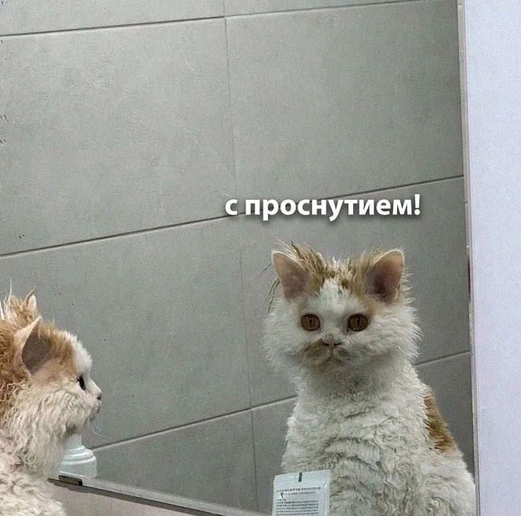 Кино/сериалы