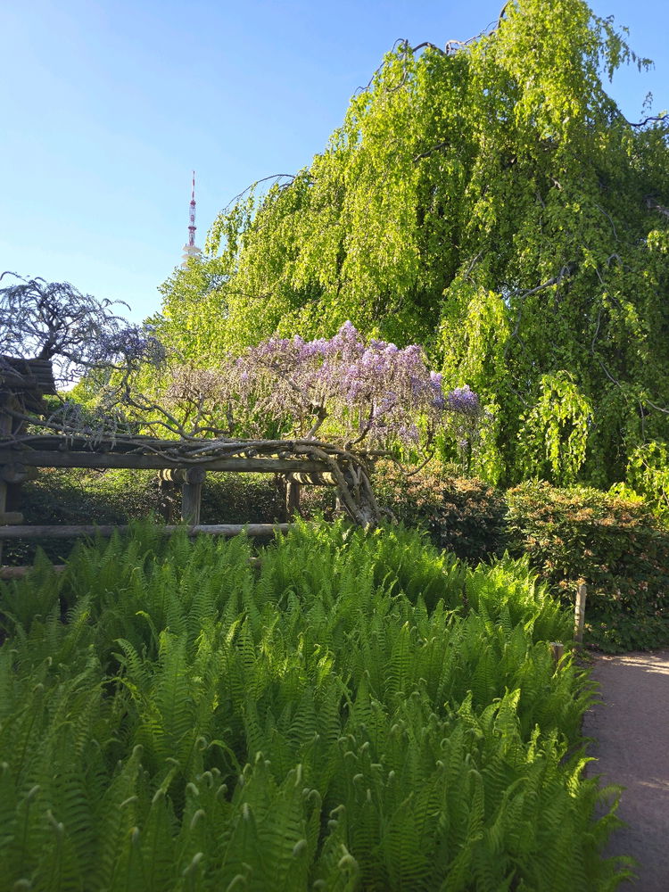 City Park