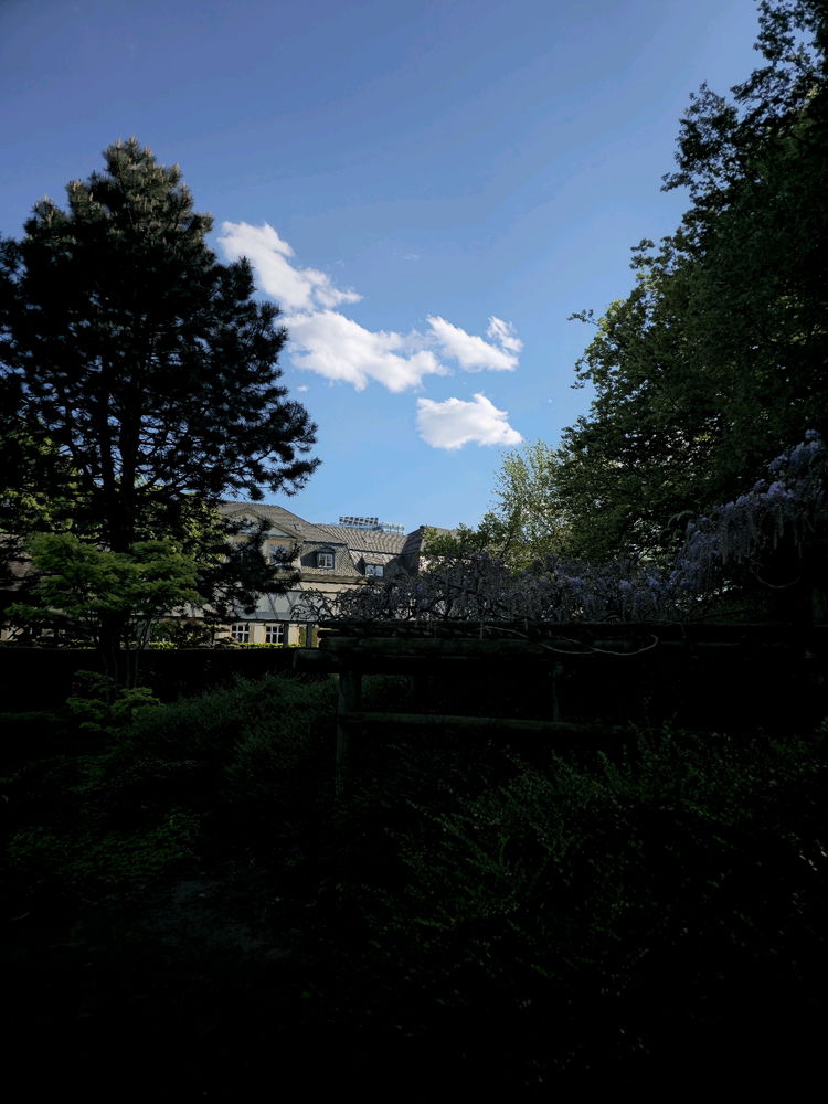 City Park