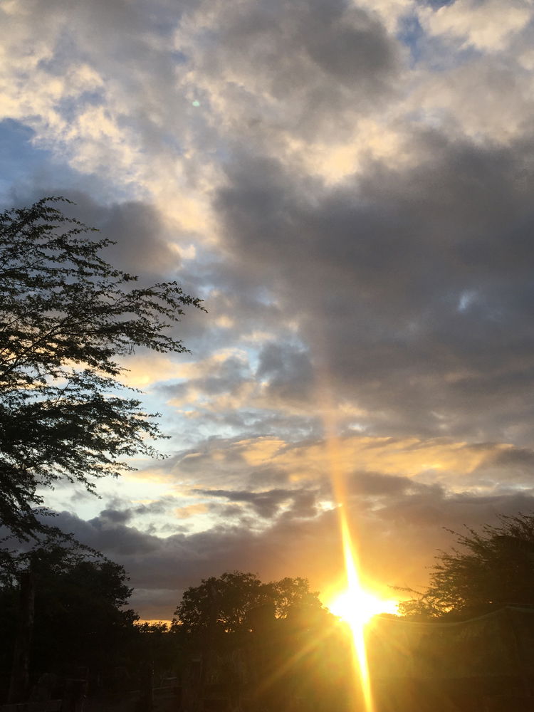 ☀️