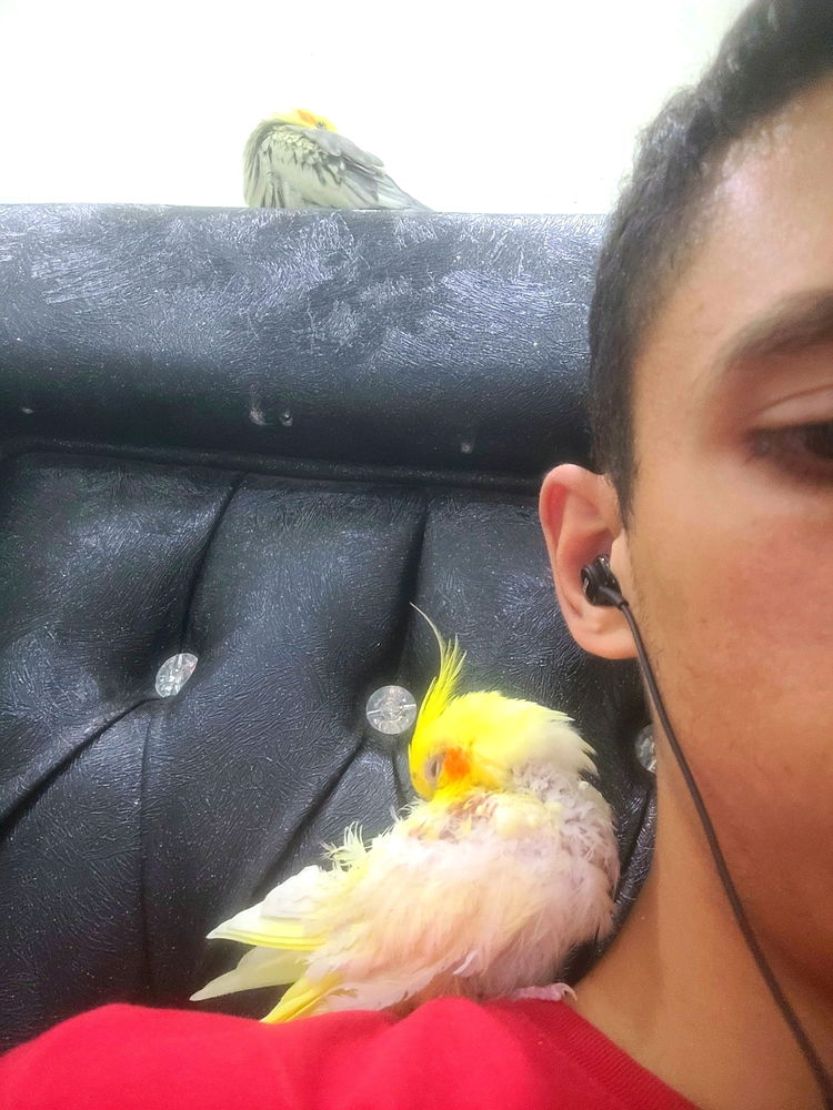 みんな眠い