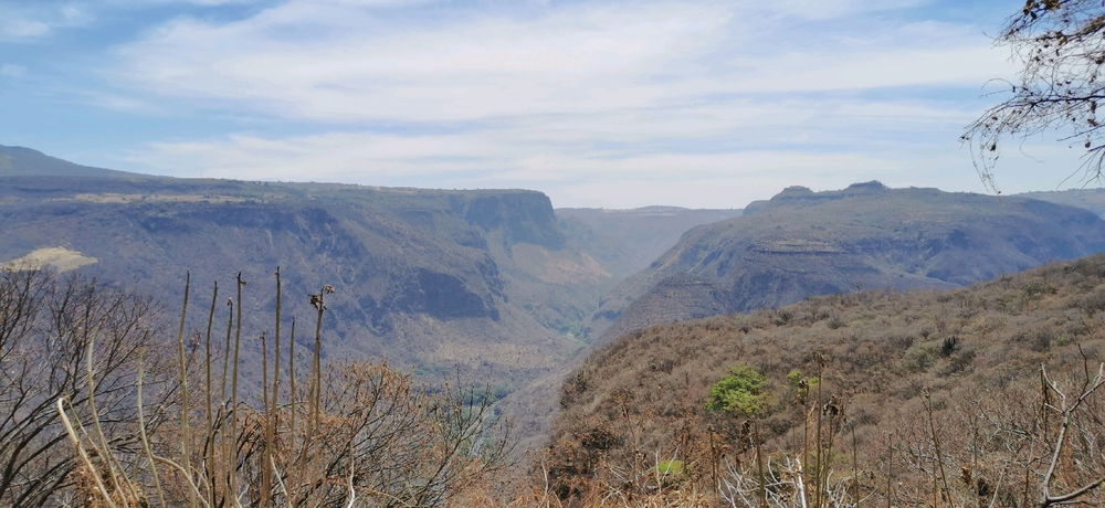 ¿Aquien le gusta corree entre los cerros?..