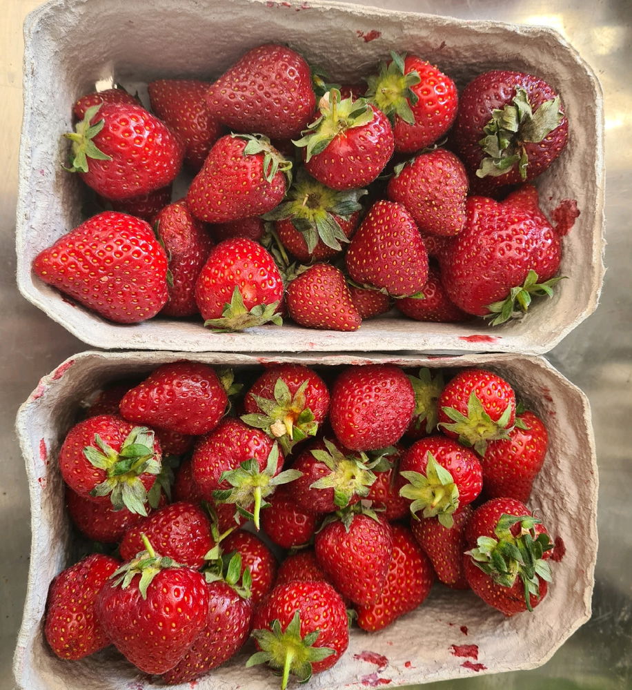 🍓