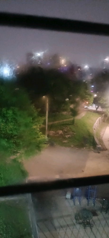 Looking out the window