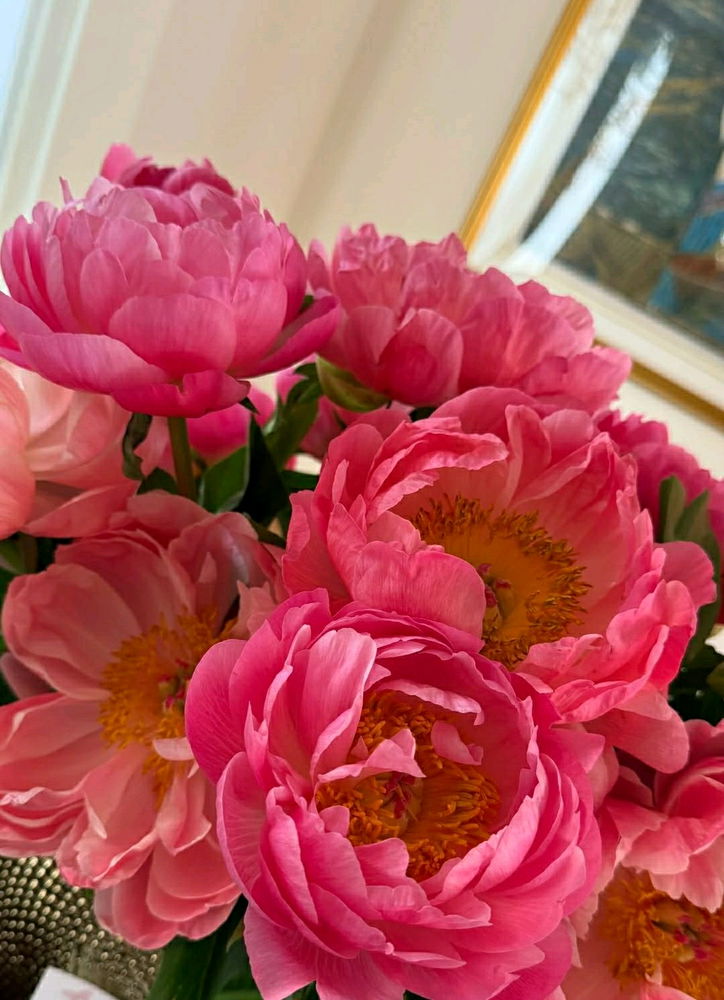 Still so in love with one of my early birthday presents .. I'm obsessed with these Chinese peonies..😍🖤💫..