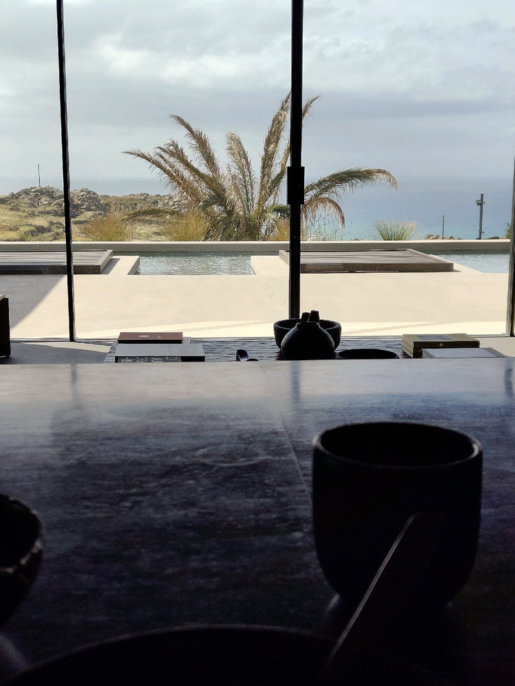 My breakfast view 🪟