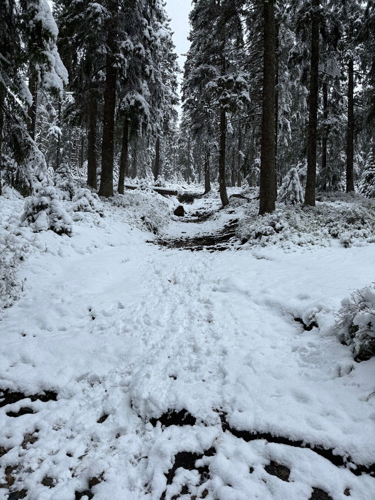 Je libo Praděd?