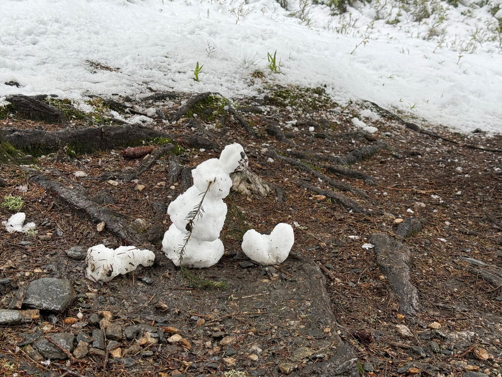 Je libo Praděd?