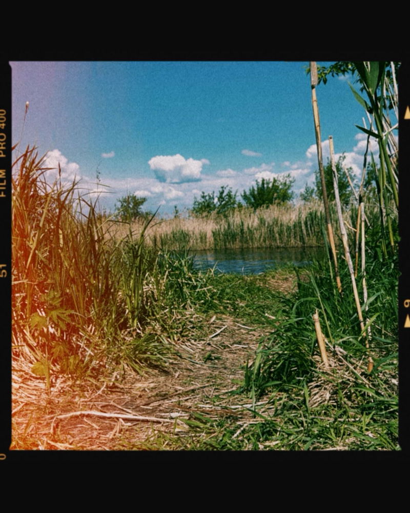 Sunny day