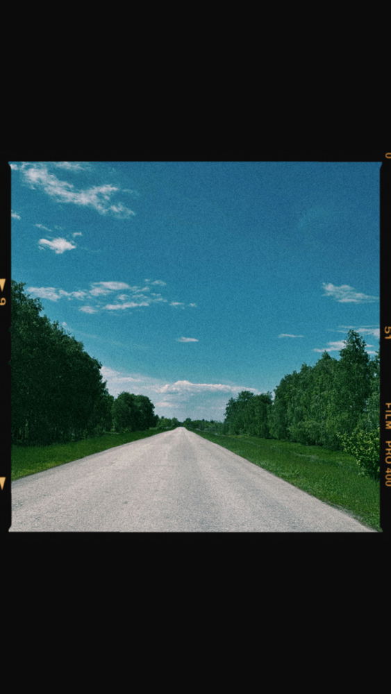 Sunny day
