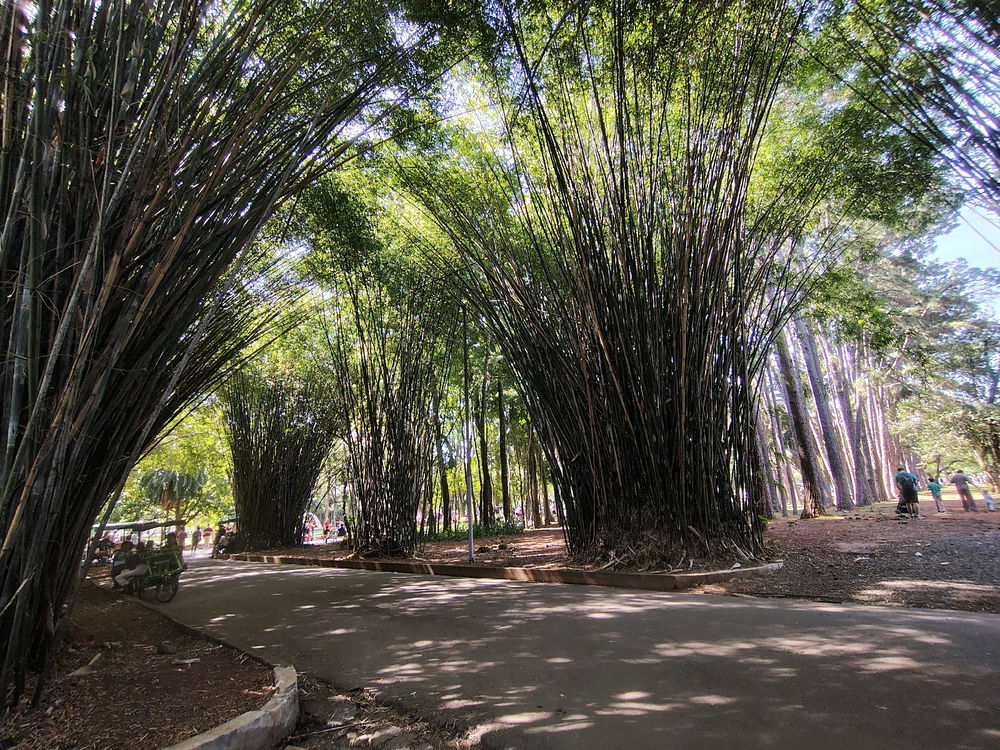 Passeio de domingo pela cidade