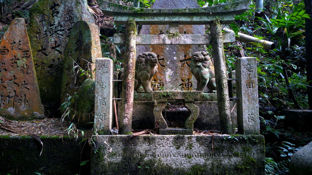 京都。伏見稲荷。森のどこか。