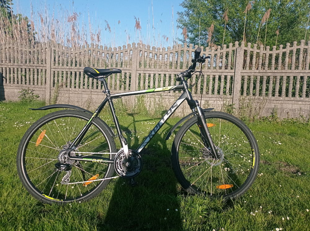 Moja nowa bestyjka
