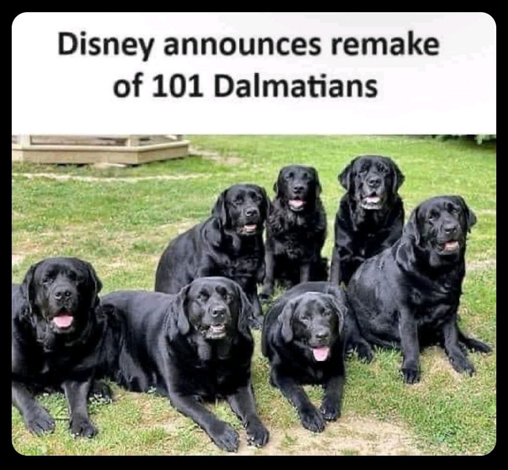 Valahogy már nem ugyanaz a filmipar...
Melyik a legjobb film, amit mostanában láttatok?