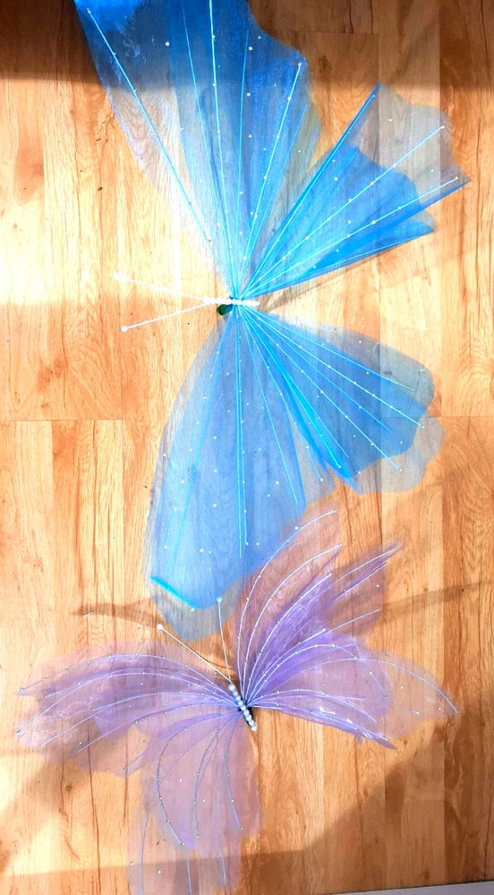 Motyle 🦋