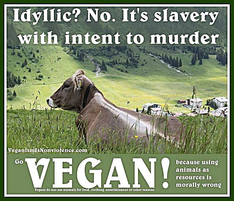 🐮💚🌱