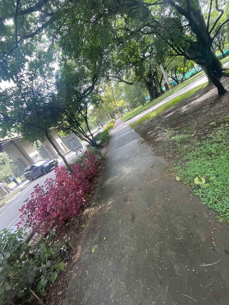 Hoy está fresco