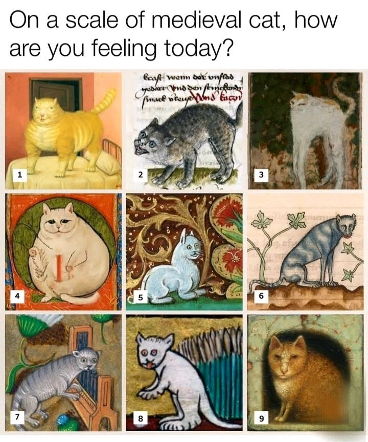 ❔️