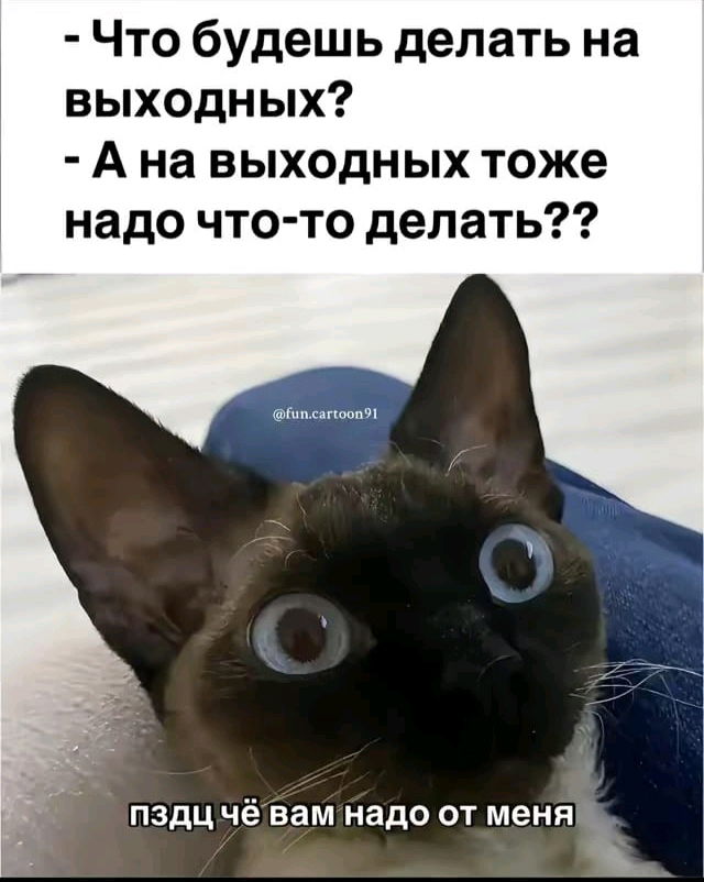 Ох уж эти выходные🙃