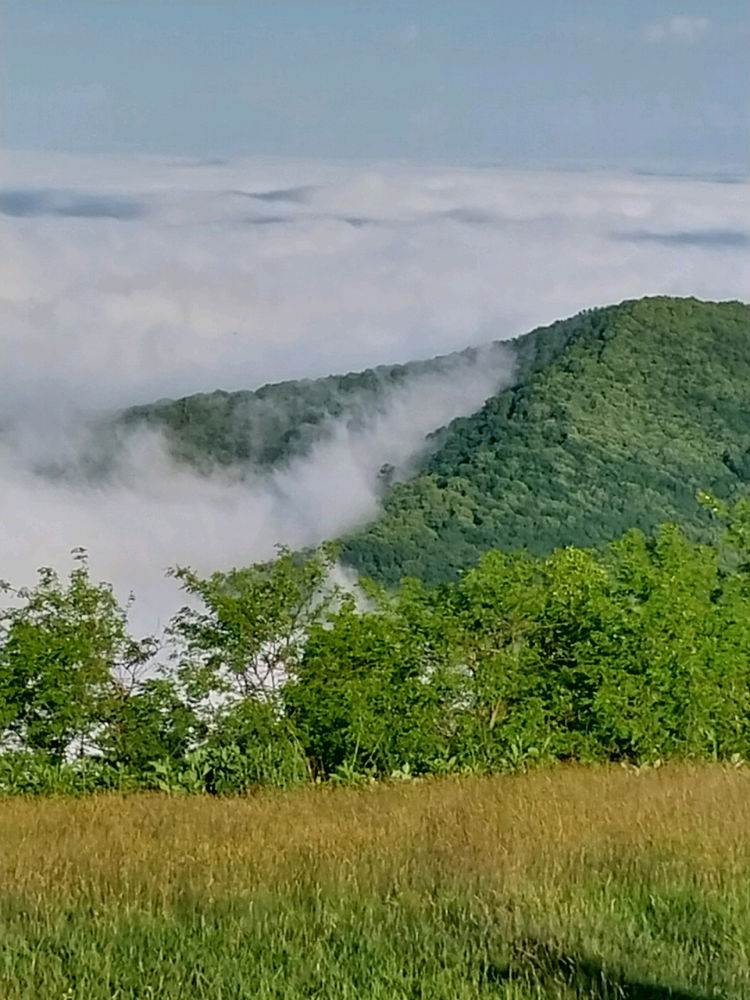 Virginia trip