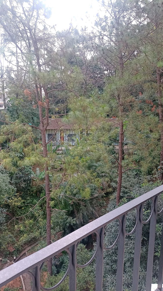 Lugar que uso para aquietar a mente...
