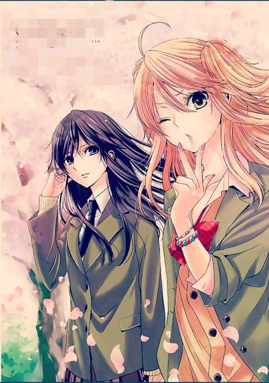 Citrus