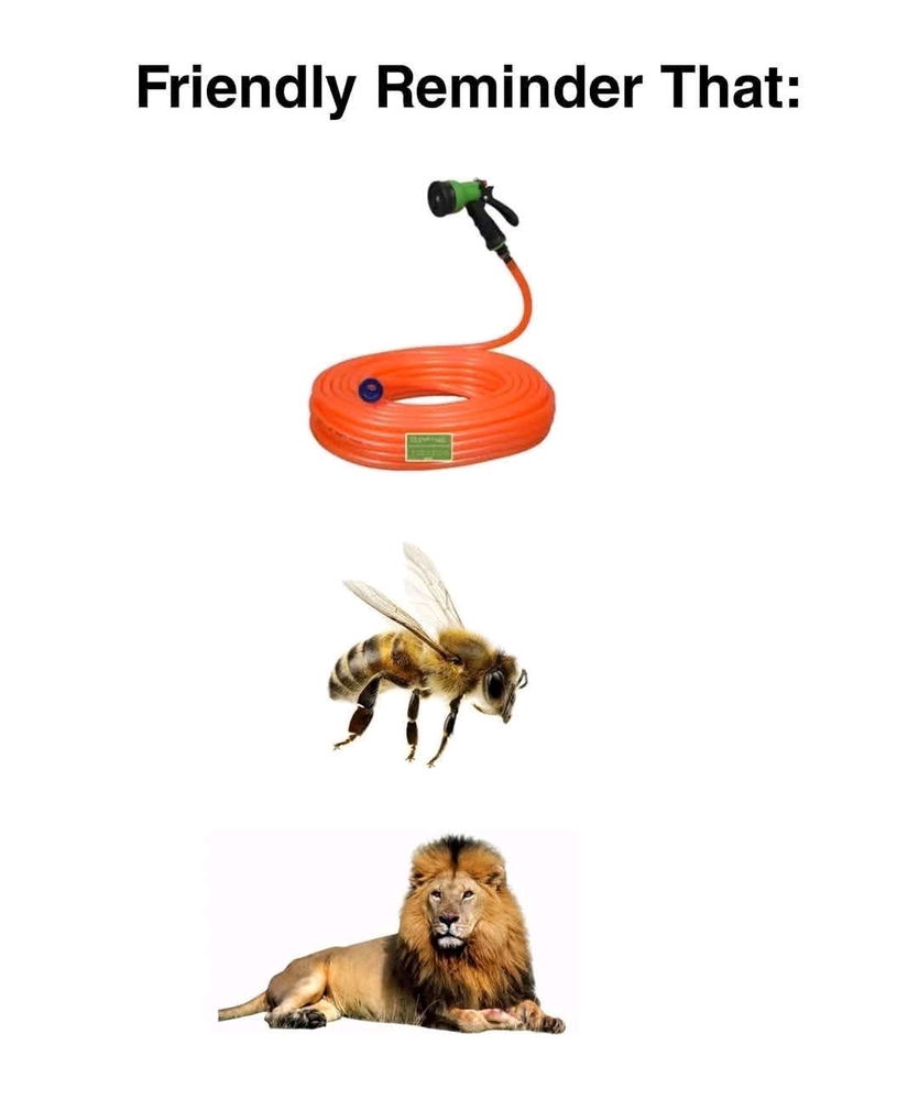 What you get?
