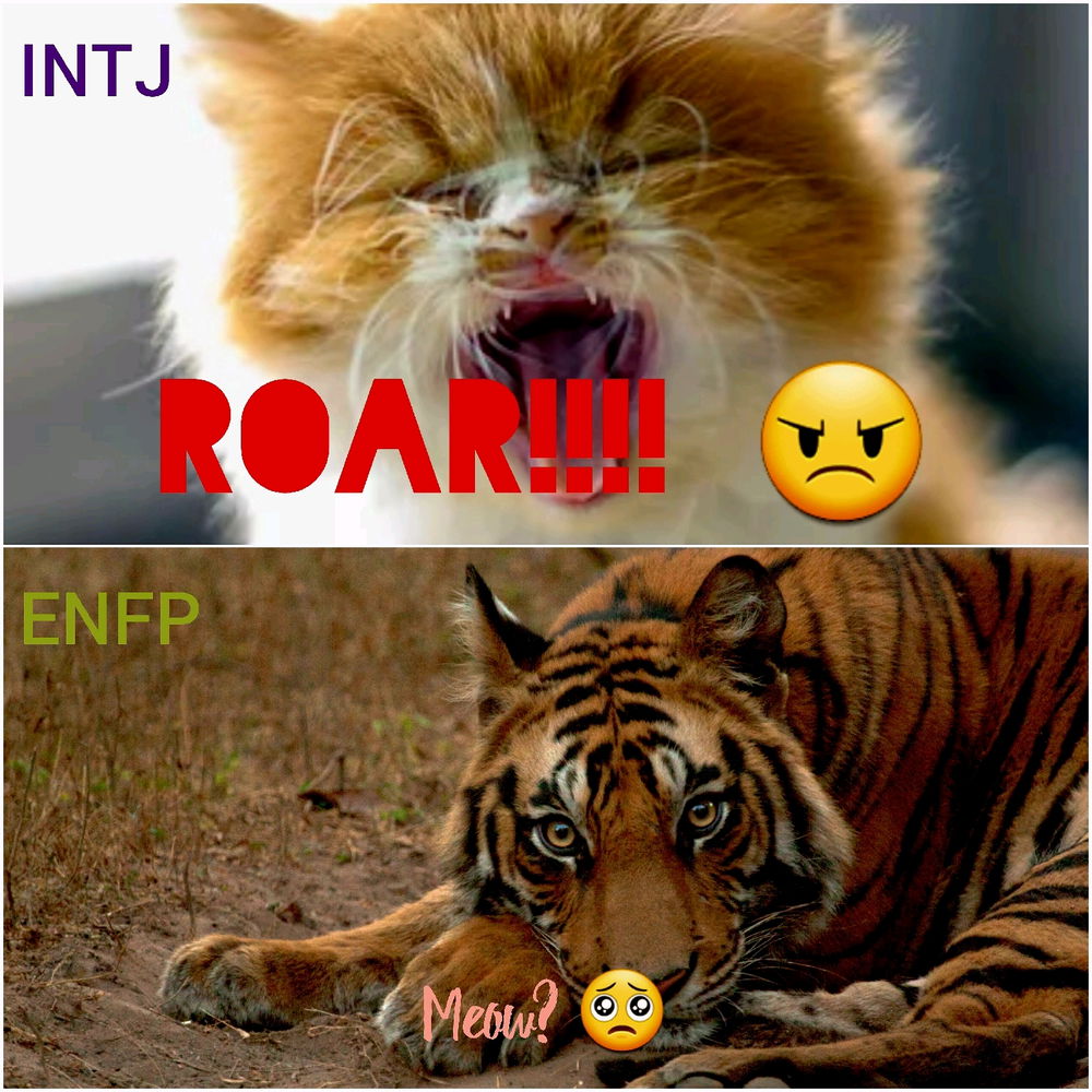 u.u