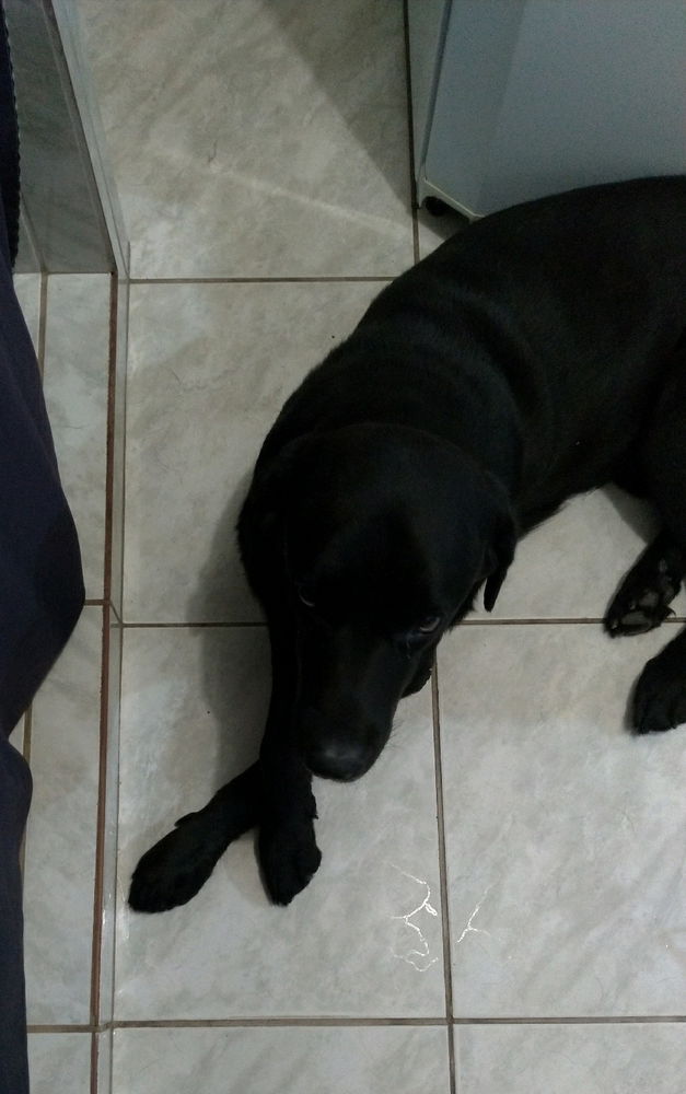 Heitor...