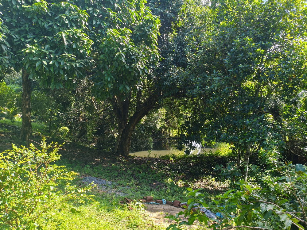 Bom dia