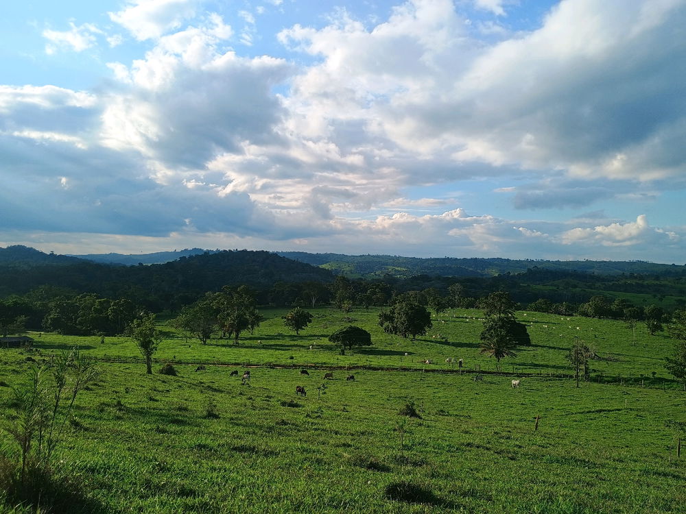 O tipo de paisagem que eu acho bonito.