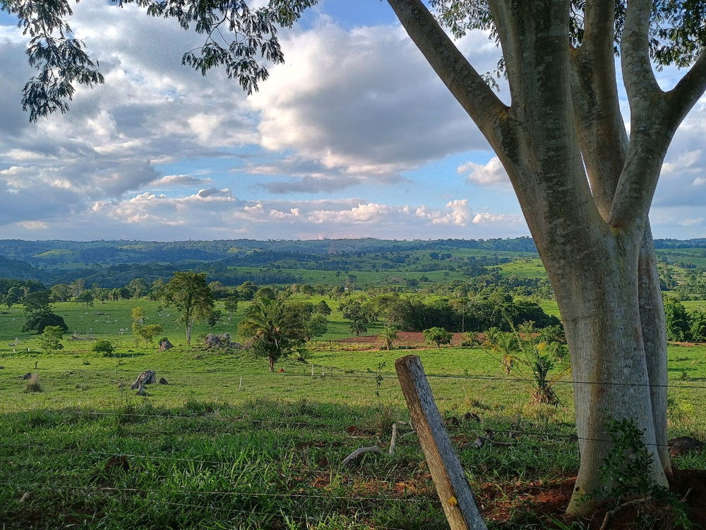 O tipo de paisagem que eu acho bonito.