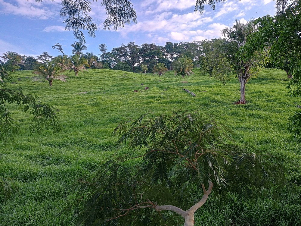 O tipo de paisagem que eu acho bonito.