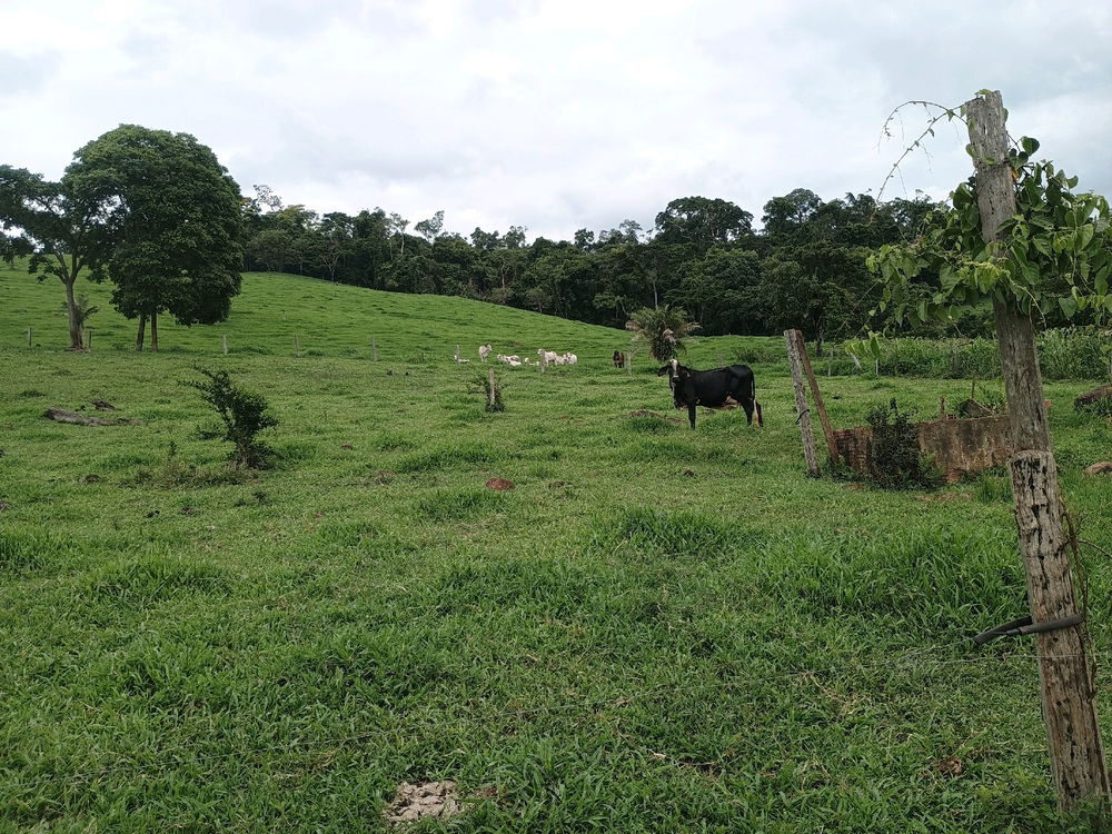 O tipo de paisagem que eu acho bonito.
