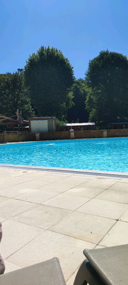 🌞🌳
