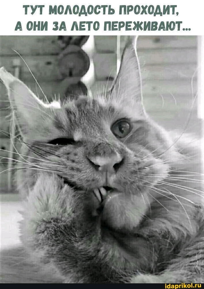 🙈