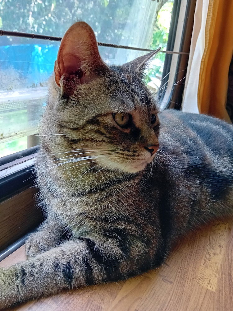 Ma beauté 😍❤️