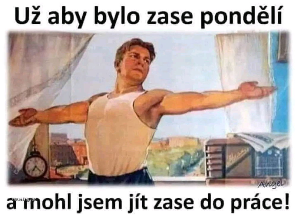 Diskuze☺️